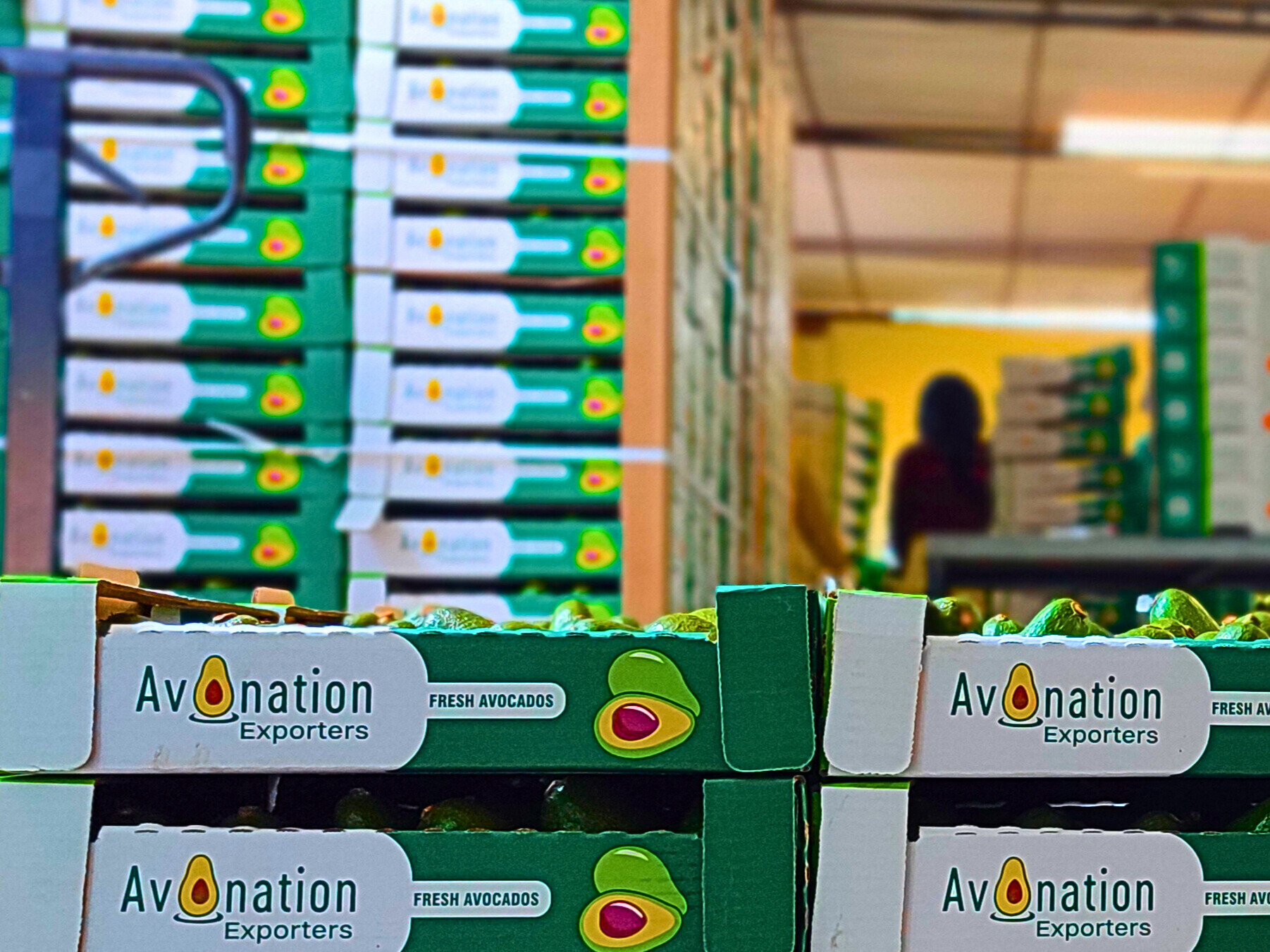 Avonation Exporters Farm